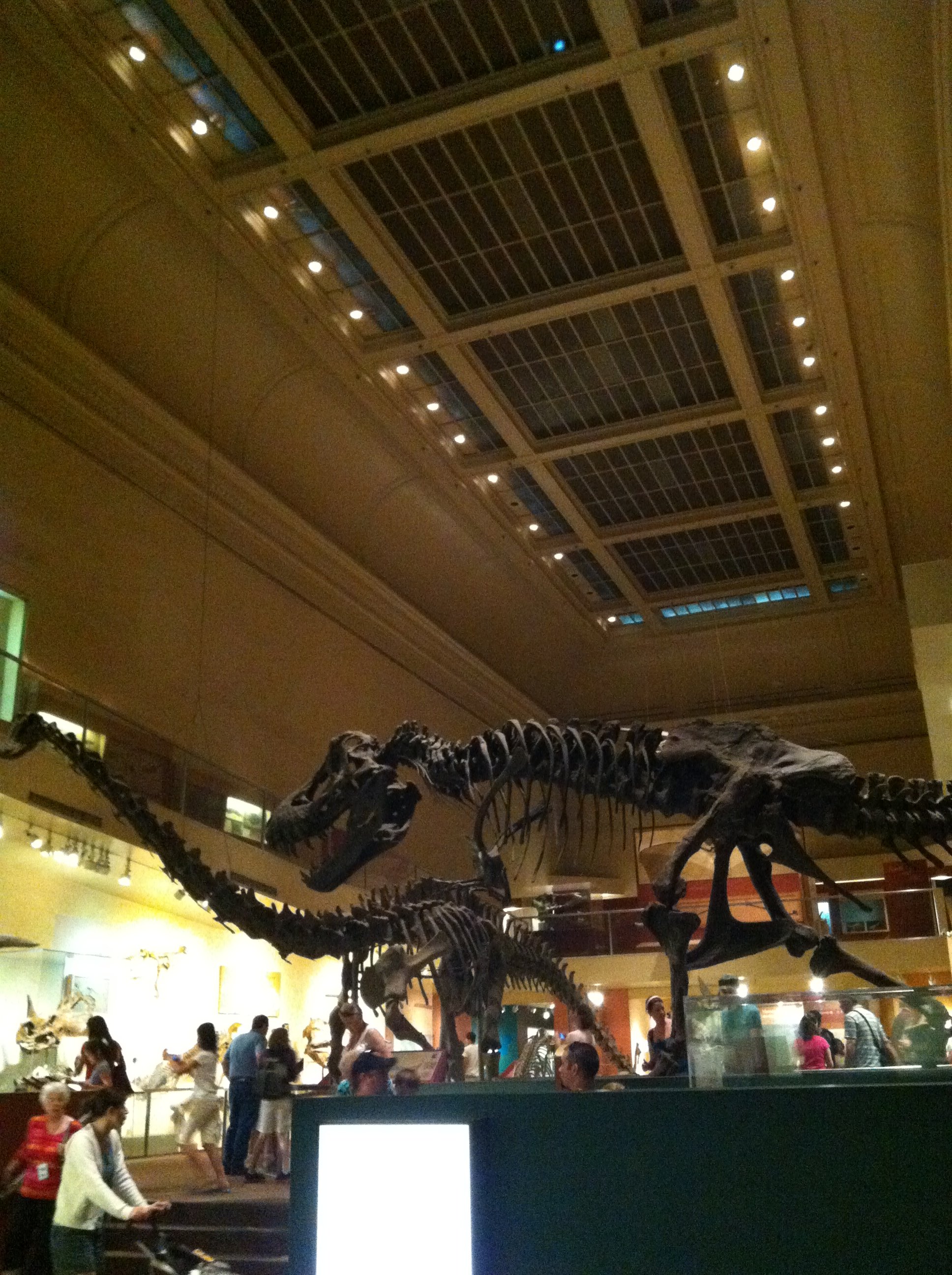 Tyrannosaurus-in-the-Smithsonian-Museum.jpg